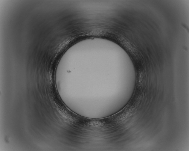 X0000097800636200803281036