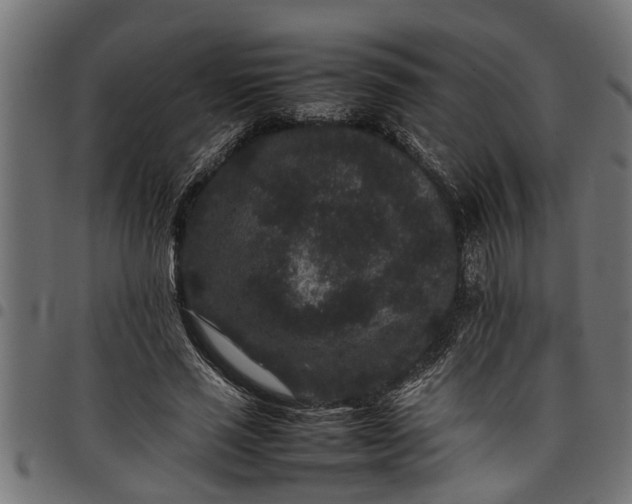 X0000097800637200803281036