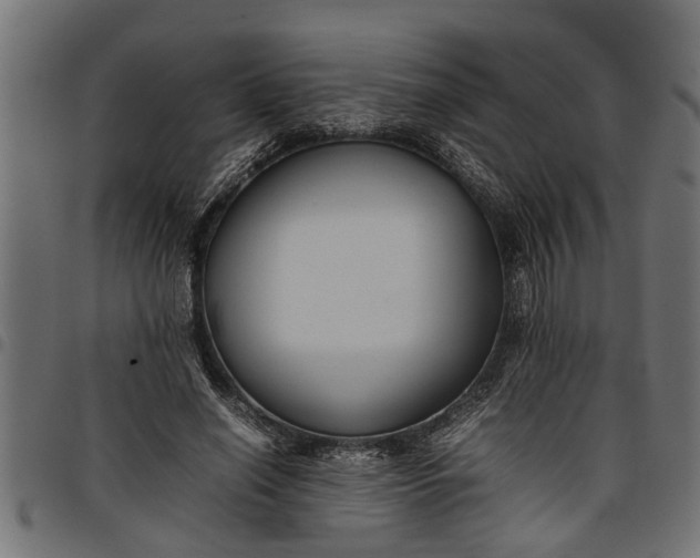 X0000097800638200803281036