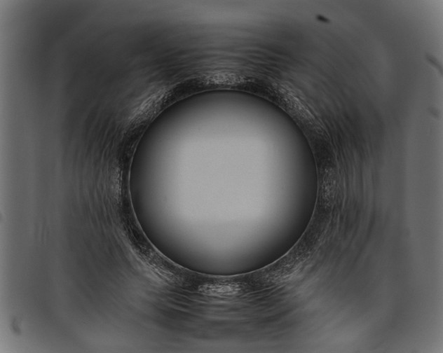 X0000097800639200803281036