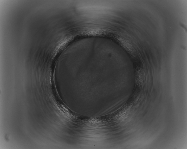 X0000097800640200803281036