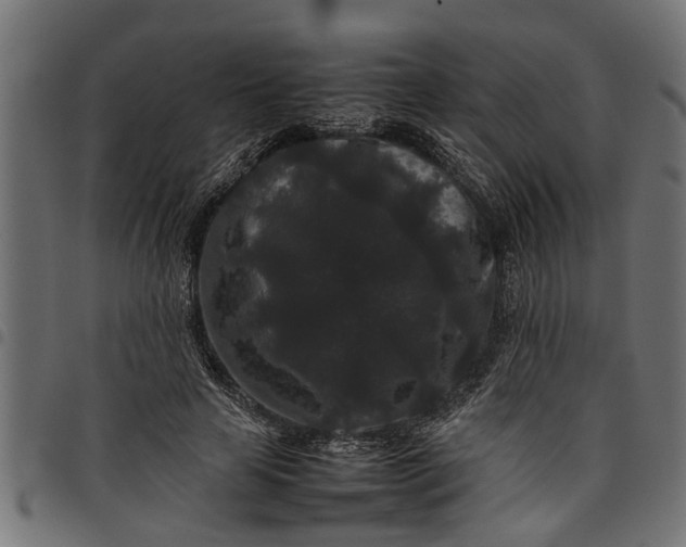 X0000097800641200803281036