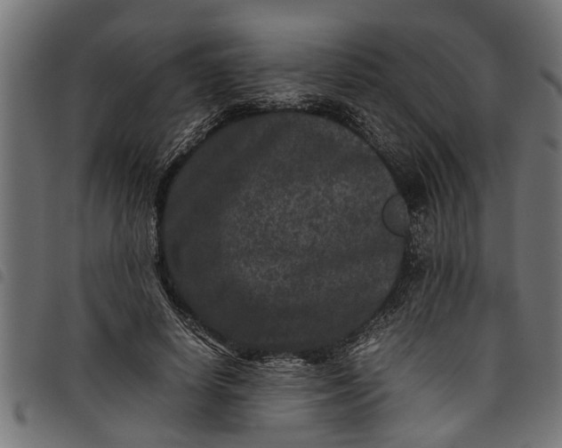 X0000097800642200803281036