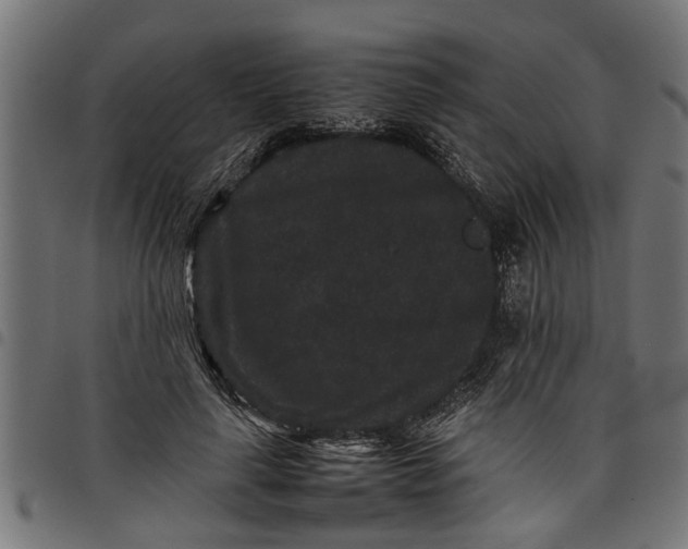 X0000097800643200803281036