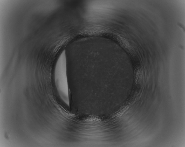 X0000097800644200803281036