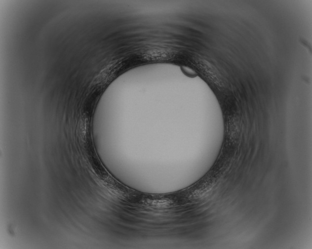 X0000097800645200803281036