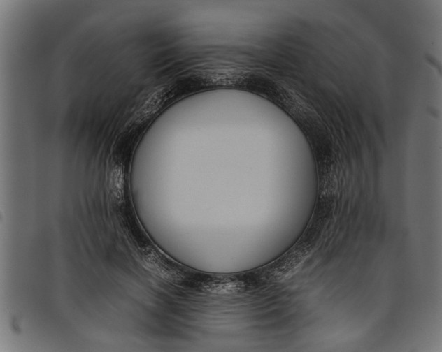 X0000097800646200803281036