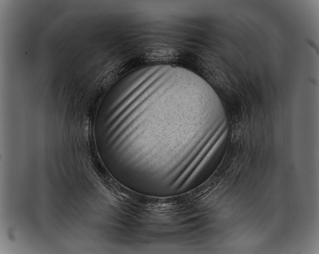 X0000097800647200803281036