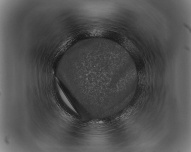 X0000097800648200803281036