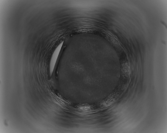 X0000097800653200803281036