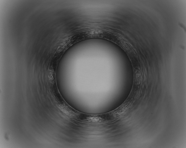 X0000097800654200803281036