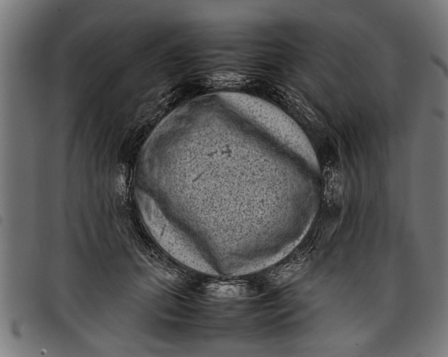 X0000097800655200803281036