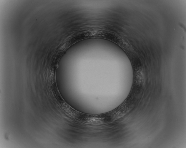 X0000097800657200803281036