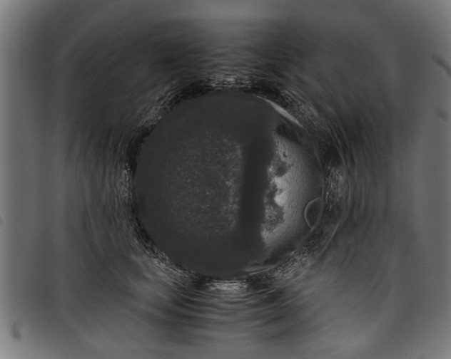 X0000097800659200803281036