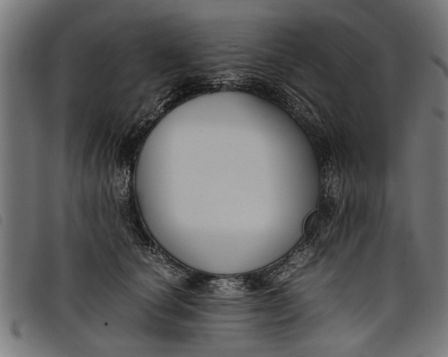 X0000097800660200803281036