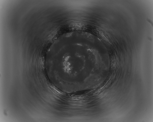 X0000097800661200803281036