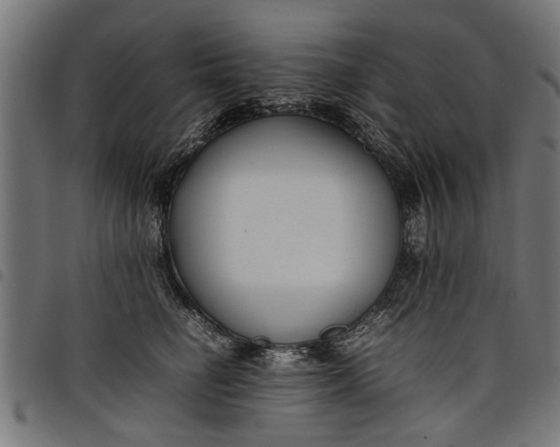 X0000097800662200803281036