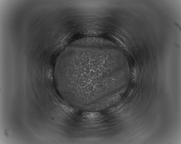 X0000097800663200803281036