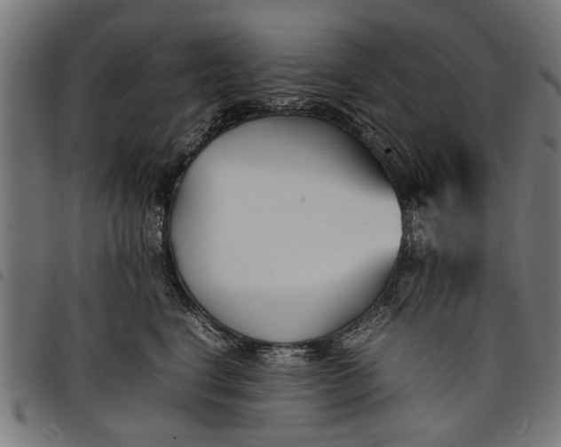 X0000097800664200803281036