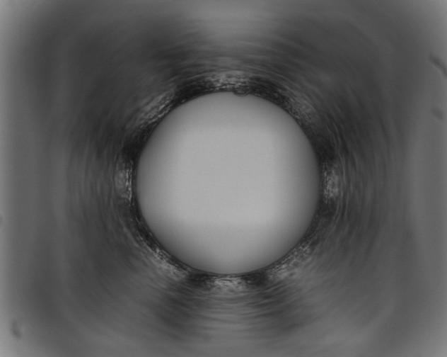 X0000097800666200803281036