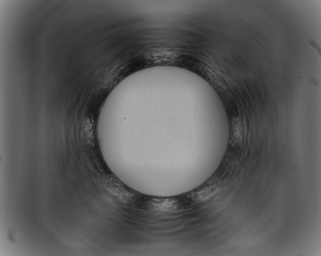 X0000097800667200803281036