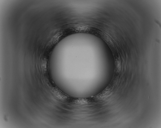 X0000097800668200803281036