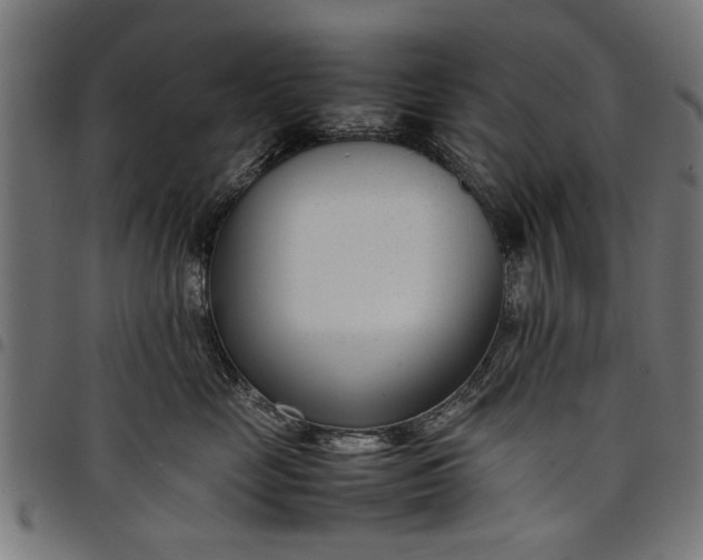 X0000097800669200803281036