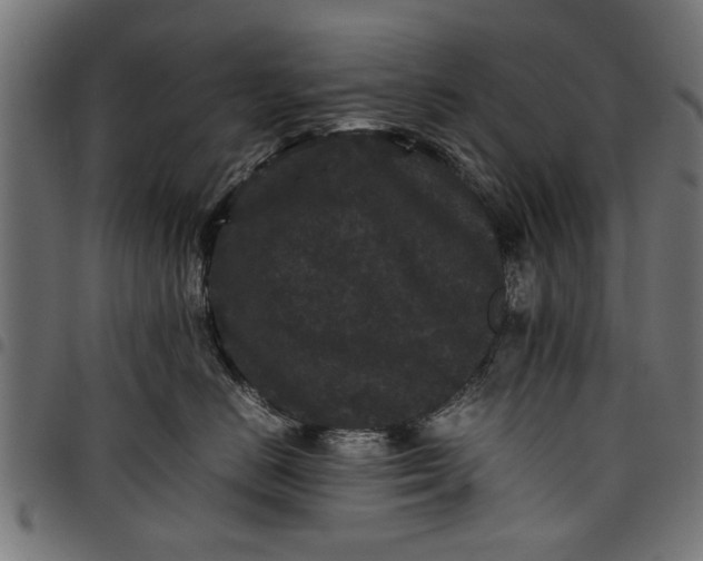 X0000097800670200803281036