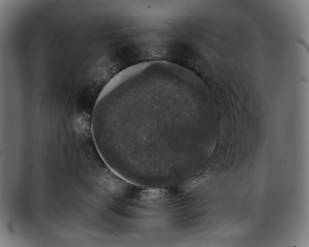 X0000097800672200803281036