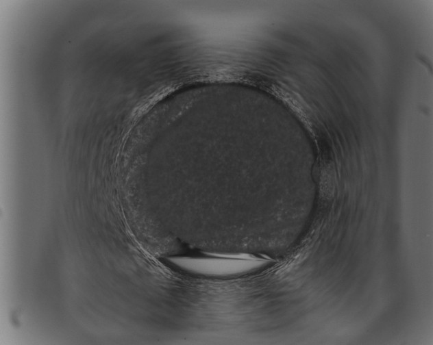 X0000097800673200803281036