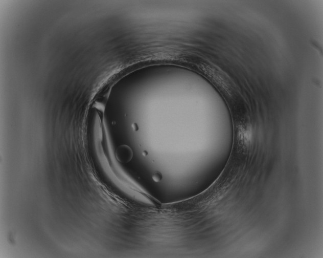 X0000097800676200803281035