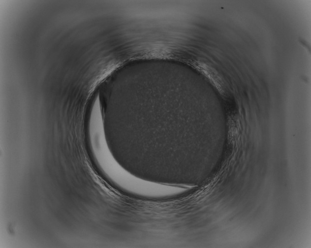 X0000097800677200803281035