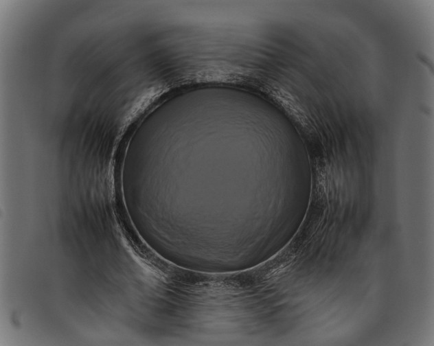 X0000097800678200803281035