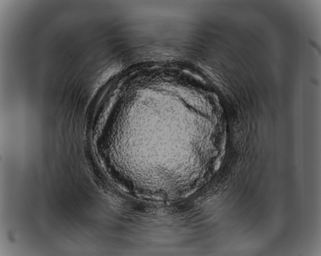 X0000097800679200803281035