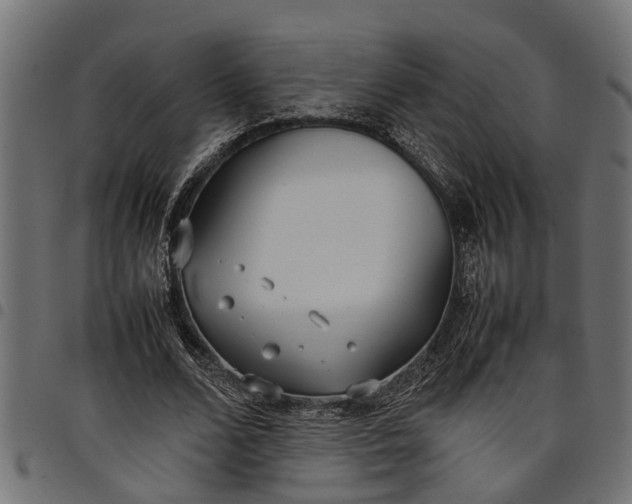 X0000097800680200803281035