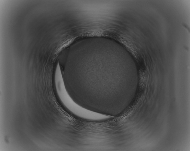 X0000097800681200803281035