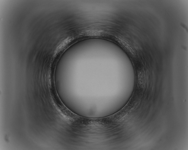 X0000097800682200803281035