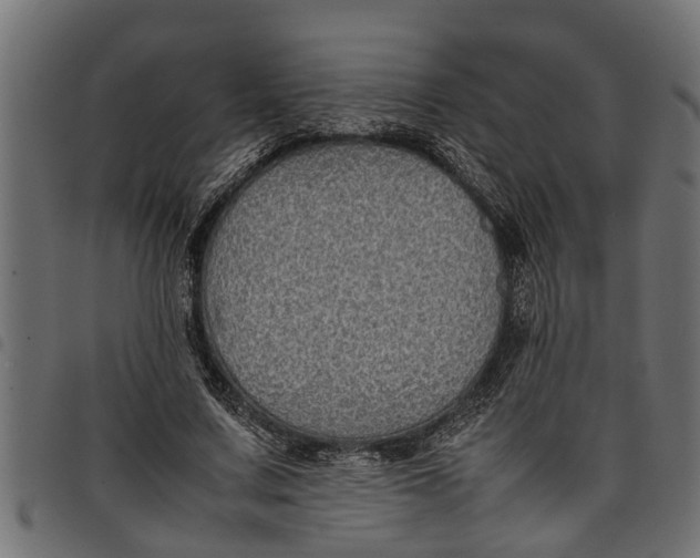 X0000097800683200803281035