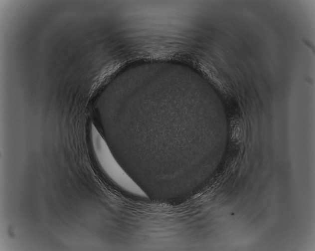 X0000097800685200803281035