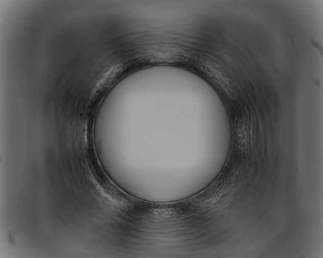 X0000097800686200803281035