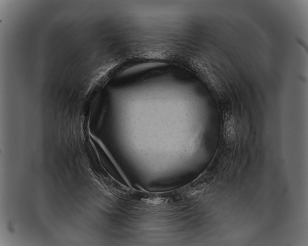 X0000097800688200803281035