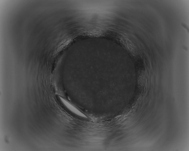 X0000097800689200803281035