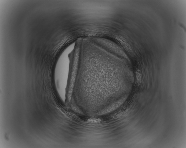 X0000097800691200803281035