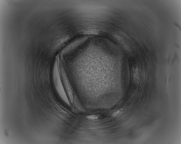 X0000097800692200803281035