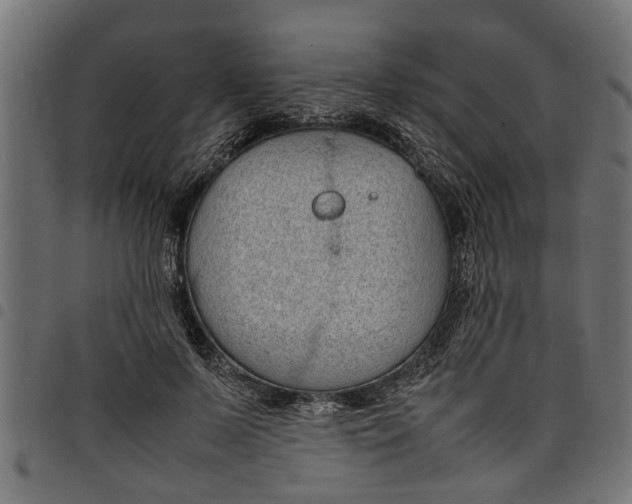 X0000097800695200803281035