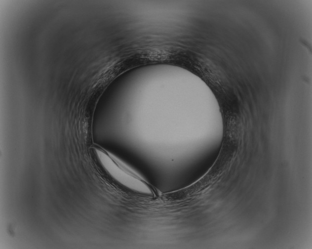 X0000097800697200803281035