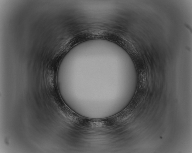 X0000097800698200803281035