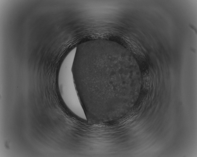 X0000097800699200803281035