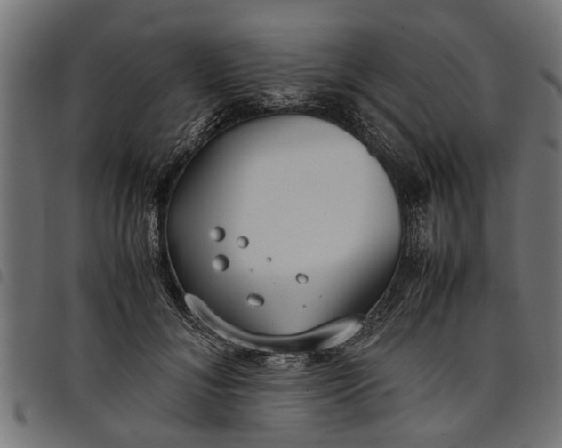 X0000097800700200803281035