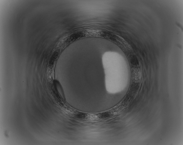 X0000097800701200803281035